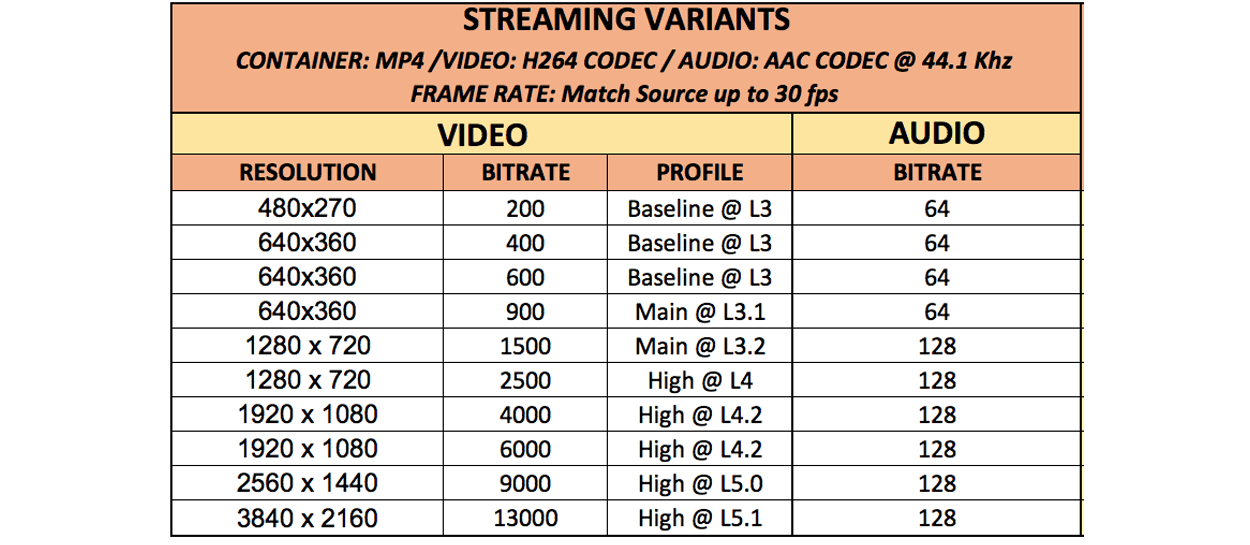 streaming variants video and audio