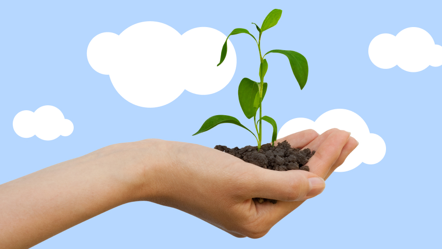 Sustainability